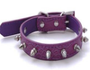 Wide Cool Sharp Spiked Studded Leather Dog Collars