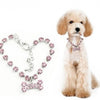 Stainless Steel Bones Crystal Pet Accessories