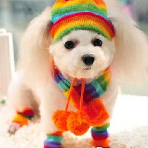 3 Times Fashion Stripe Knitted Pet Dog