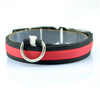 Leads LED Light Pet Mascotas Cachorro Collars