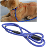 Nylon Pet Dog Slip Training Traction Rope Leash