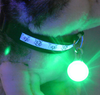 LED Glowing Bell Pendant Dog Tag Belt