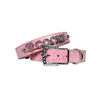 Personalized Dog Collar Customized