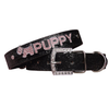 Personalized Dog Collar Customized